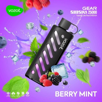 Vozol Gear 25000 Berry Mint