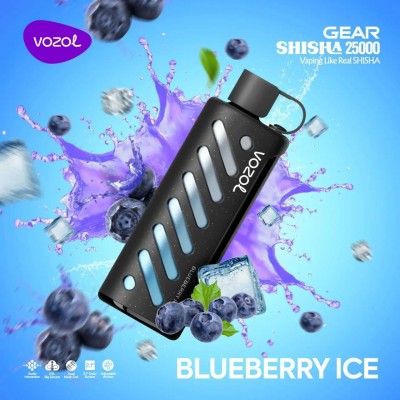 Vozol Gear 25000 Blueberry Ice